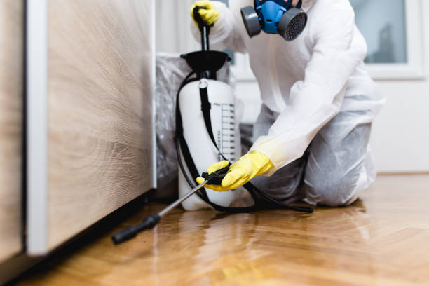 Best Exterminator Services  in Benld, IL