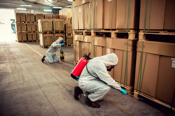 Best Termite Control Services  in Benld, IL