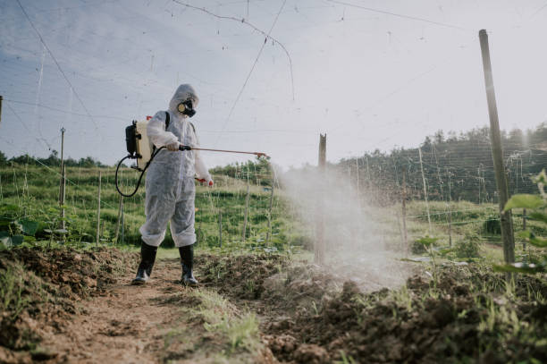 Best Commercial Pest Control Services  in Benld, IL