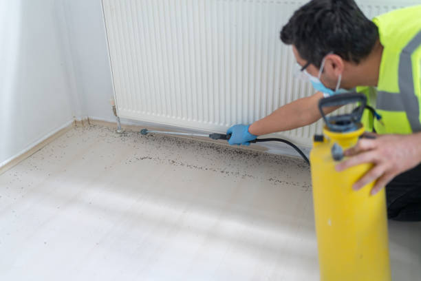 Pest Control for Restaurants in Benld, IL