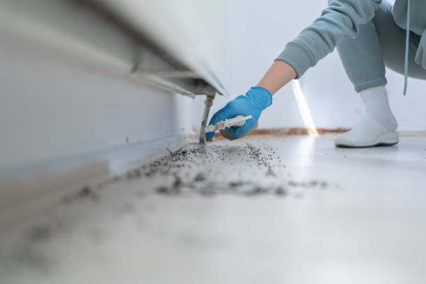 Best Pest Control Near Me  in Benld, IL