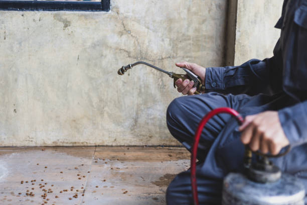 Best Residential Pest Control  in Benld, IL