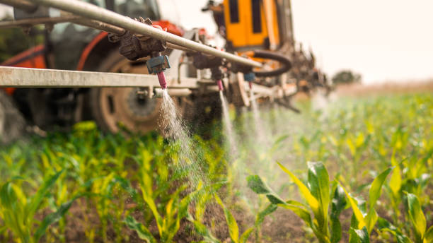 Best Best Pest Control Companies  in Benld, IL